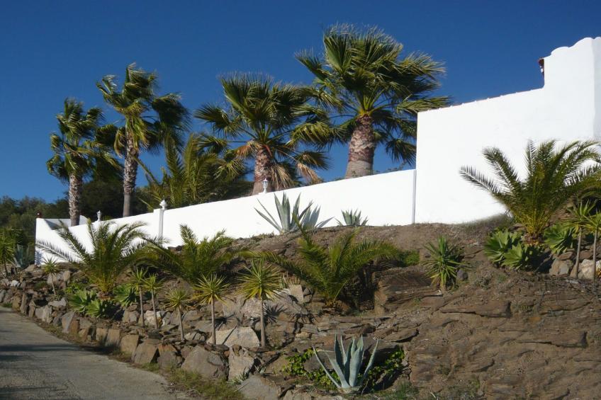 Casa Palmeras in Sayalonga mit Gepflegtem Garten - foto 28