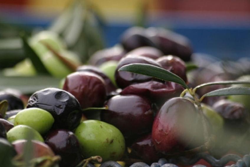 Villa "Dionysos" mit privatem Pool - foto 30