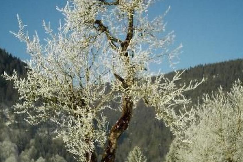 Falkenberg Nr. 114 - foto 17