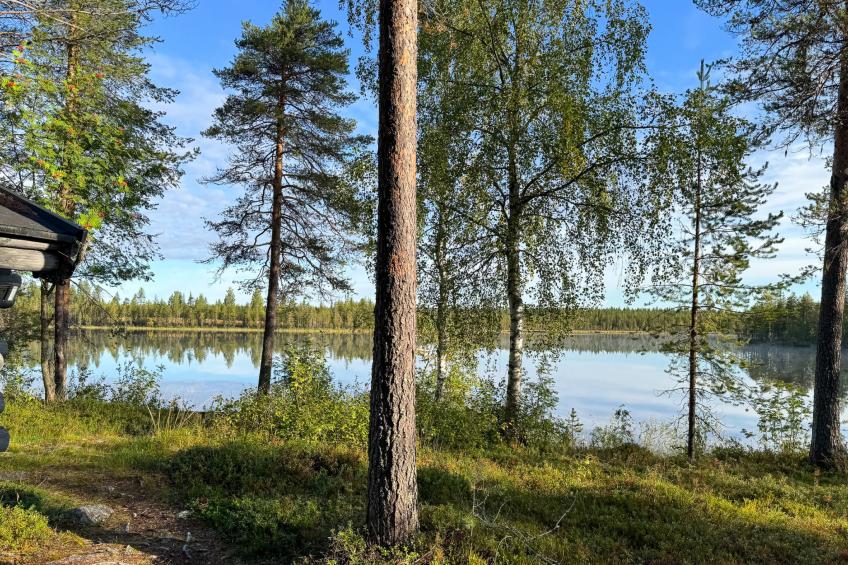 Kivalikkolampi - foto 2