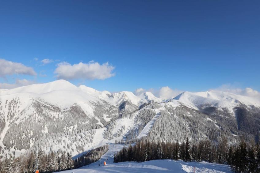 Chalet Ski In - Top 2 - foto 5