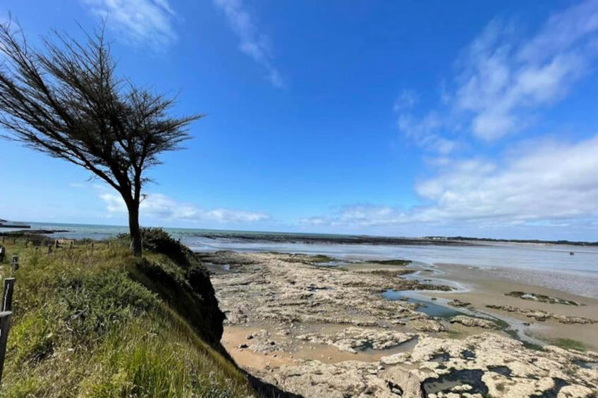 Maison à Assérac - foto 40