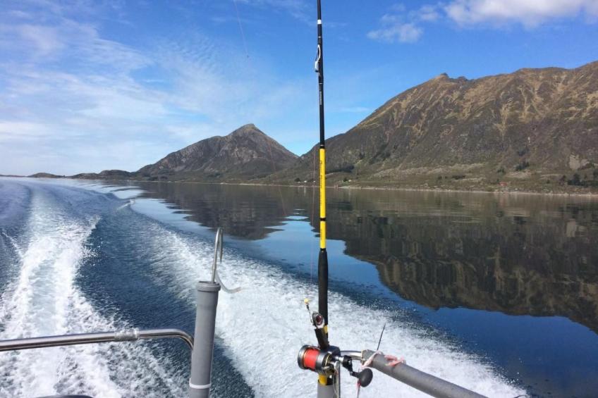 Nesset, Meløy Naturerlebnisse - foto 17