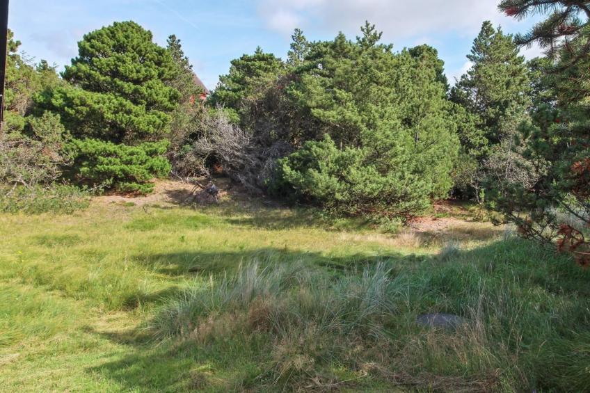 "Eliene" - 500m from the sea in Western Jutland - foto 23