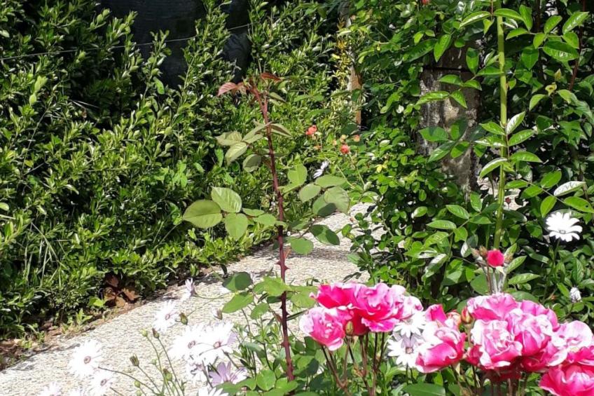 Quinta D'Avó Amélia, wunderschönes Landhaus zwischen den Bergen und dem Meer - foto 33