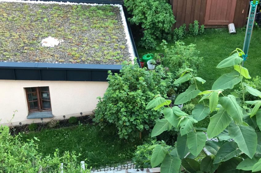 FerienwohnungBaumann - foto 4