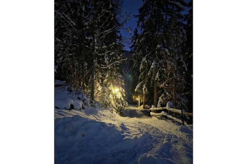 17917 - foto 40