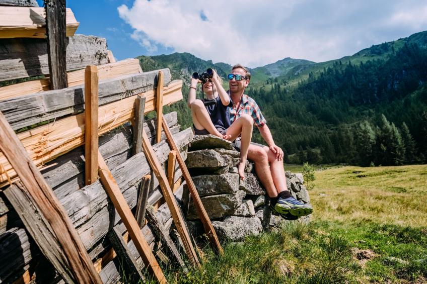 Vakantiewoningen, Wald im Pinzgau - Type B - foto 12