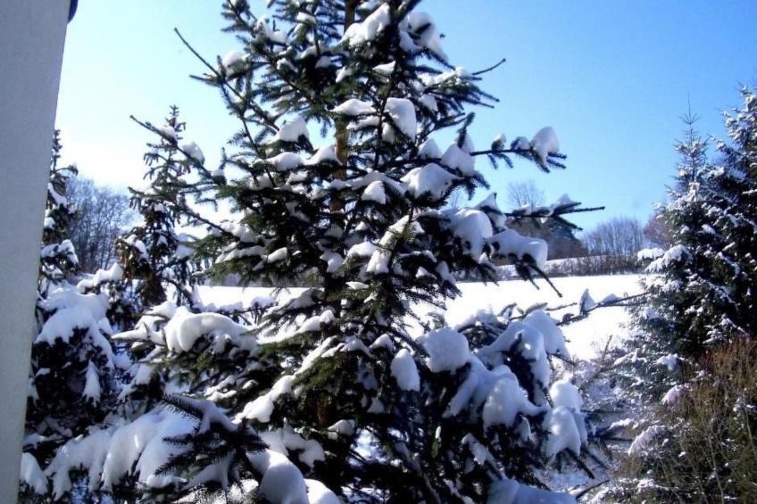 Roomantic Apartment für 4 Personen - foto 40