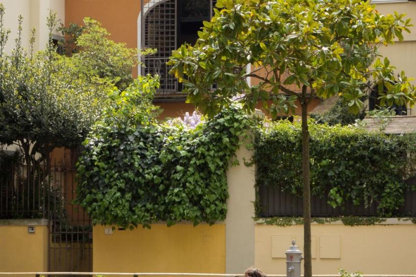 'Torrigiani - foto 42