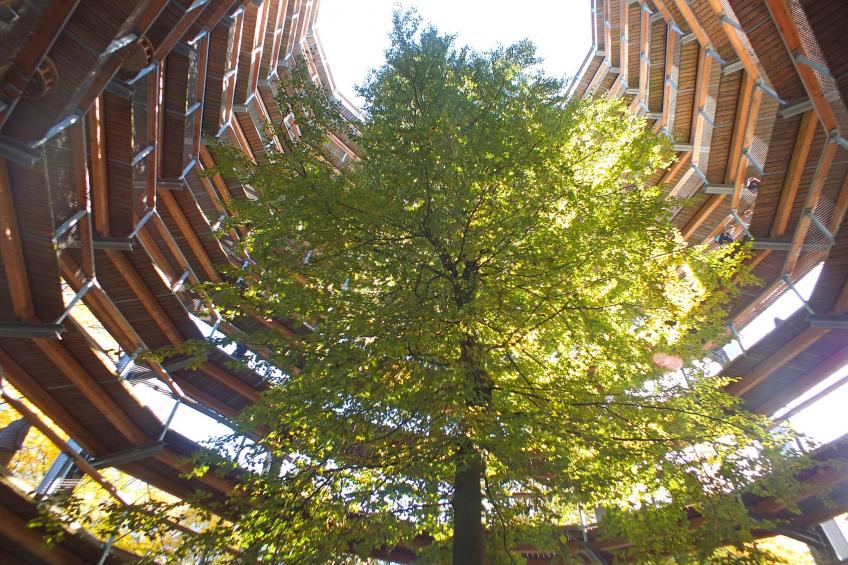 Rügen Resørt Sagard - foto 35