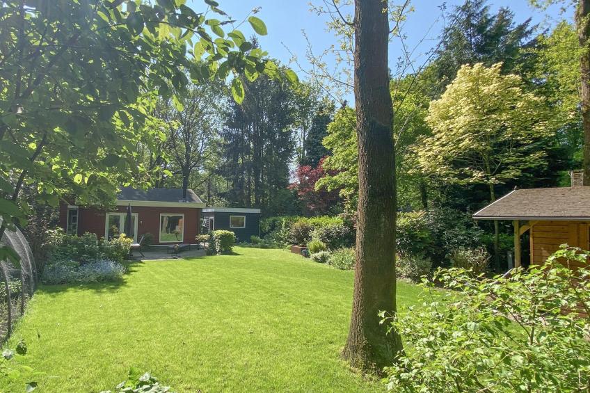 De Paradijsvogel - foto 5