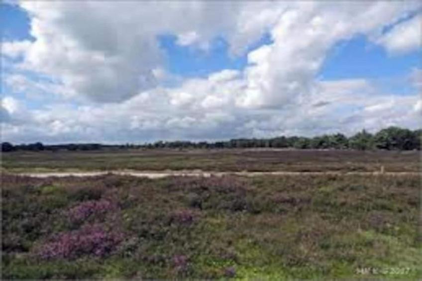 Vakantiepark de Noordster 3 - foto 21