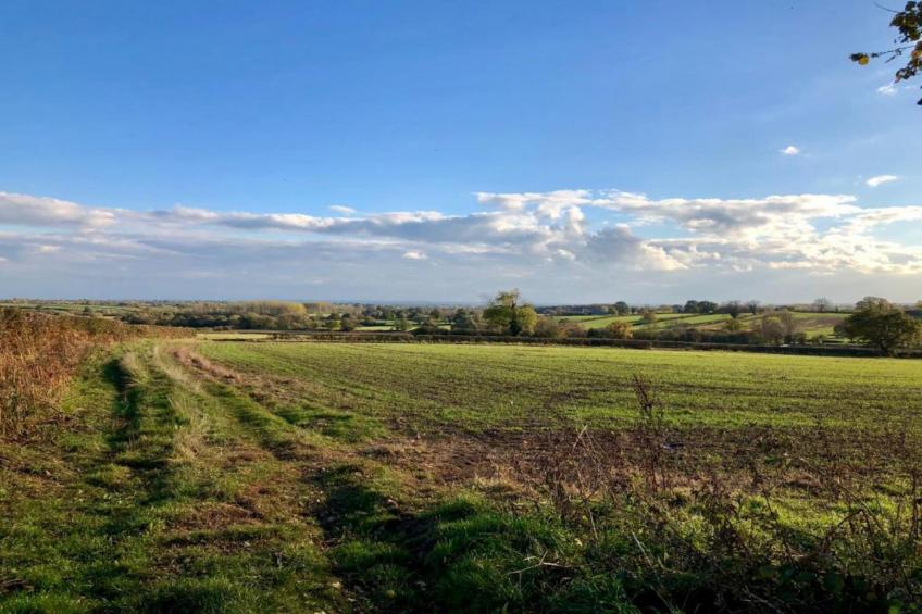 The Pig Barn - foto 32