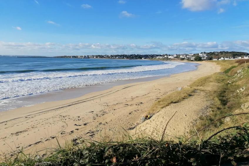 Domaine de la Baie Acccessible 1-Bedroom Holiday Home - 2/4 people - foto 16