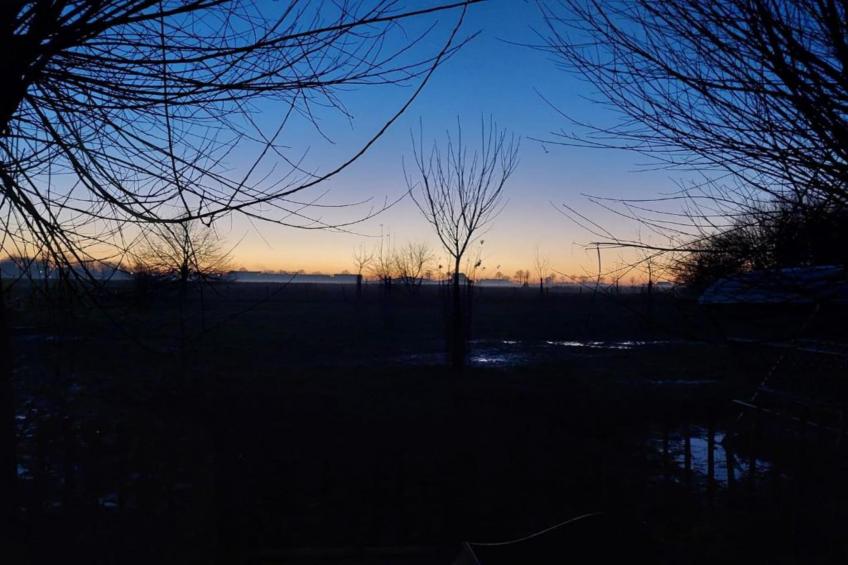 't Bloemenhof - foto 38