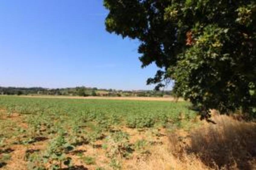 Portico della Volpe - foto 31