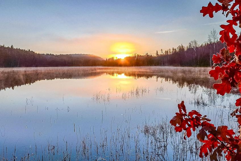 Villa ahomoisio - foto 31