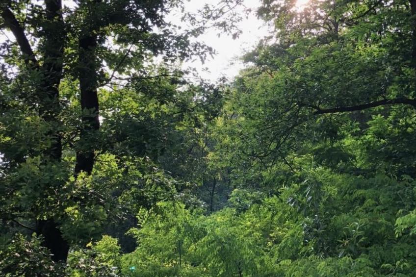 La Romantica - foto 29