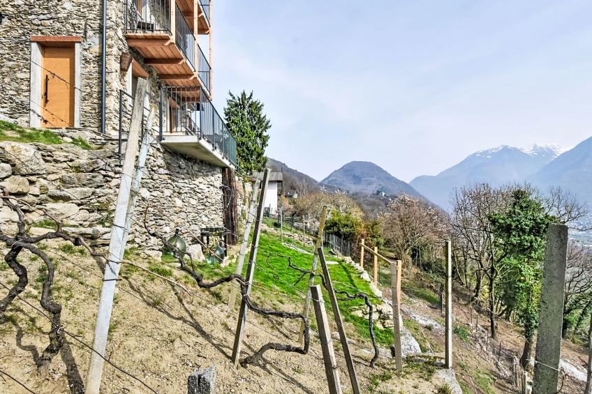 Al Vignale - La Grotta - foto 29