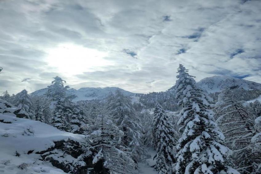 Les Terrasses d'Isola - foto 31
