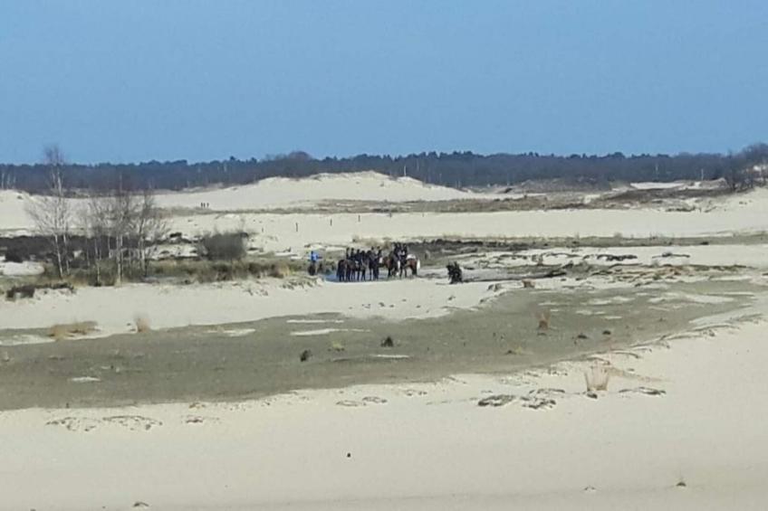 Recreatiepark Duinhoeve 3 - foto 28