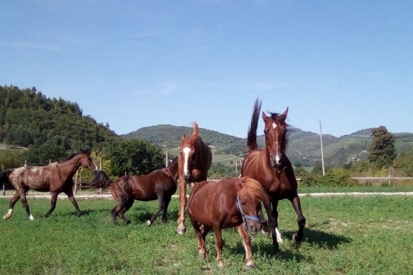 Landhaus mit einer atemberaubenden Aussicht, - foto 19