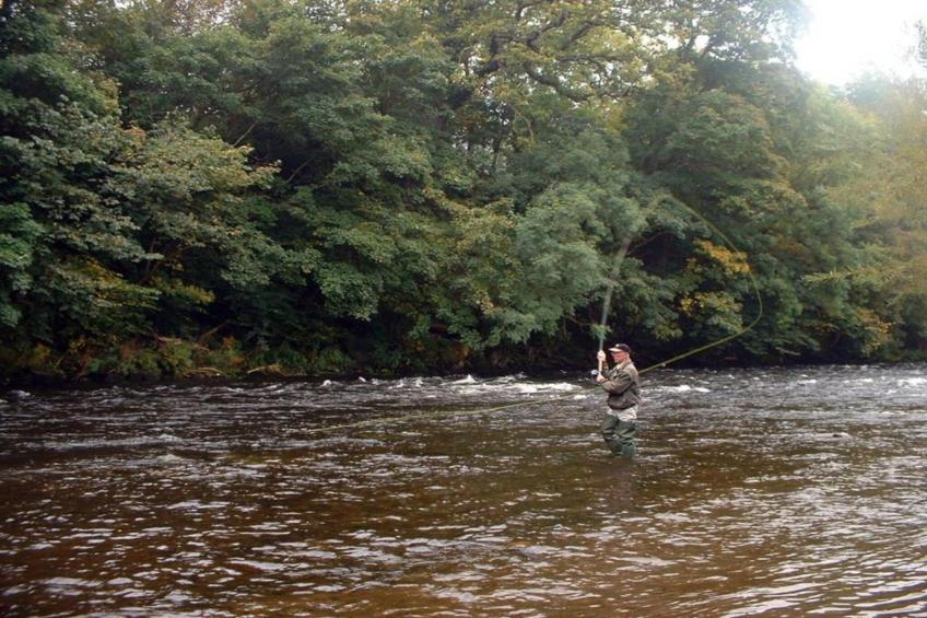 Eryri Magic - foto 21