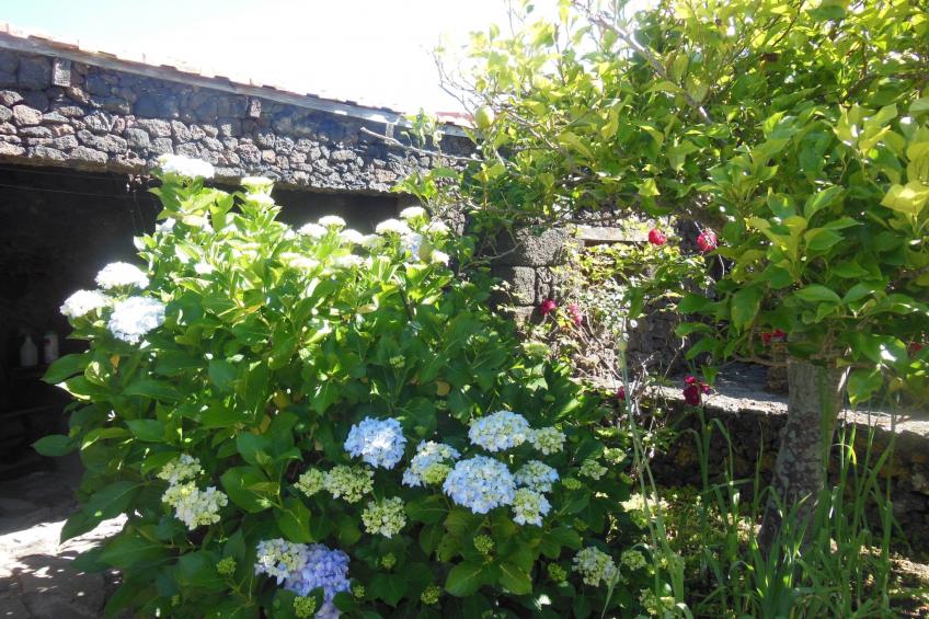 Traditionelles kanarisches Landhaus - foto 45