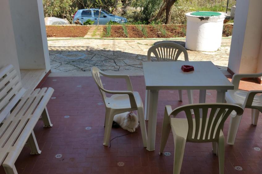 in Strandnähe - foto 8