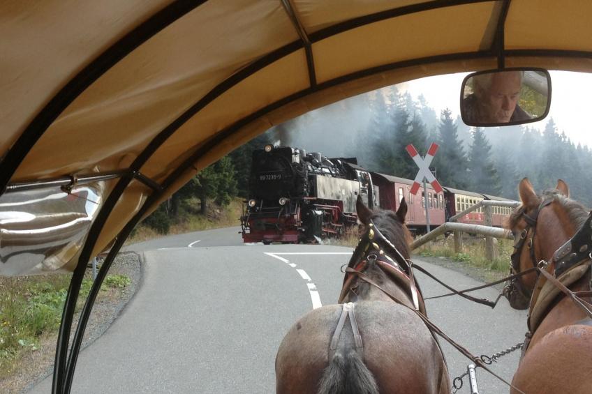 Wohnung in Bad Harzburg mit Garten - foto 13