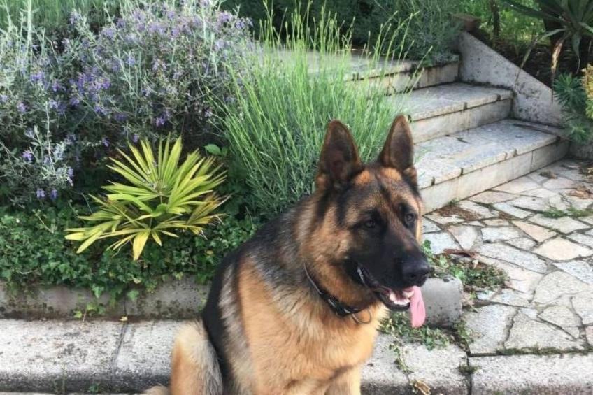 Erdgeschoss-Apartment A2 - foto 22