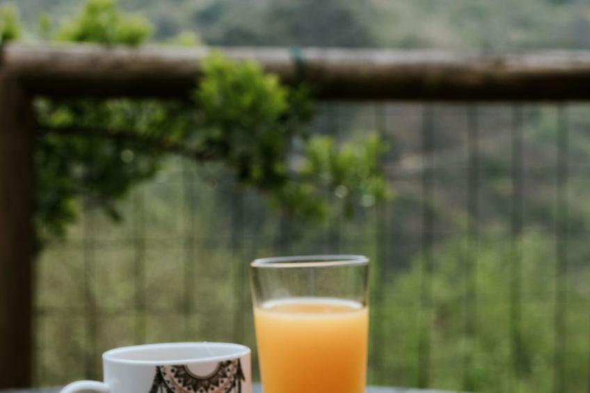 Jacuzzi, Kamin, Grill und spektakuläre Aussicht - foto 39