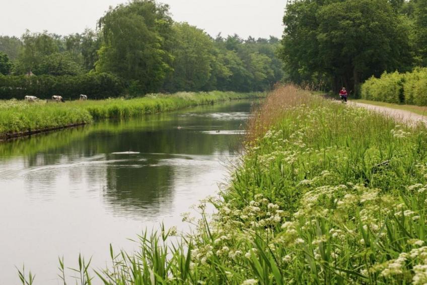 Koe in de Kost 4 - foto 30