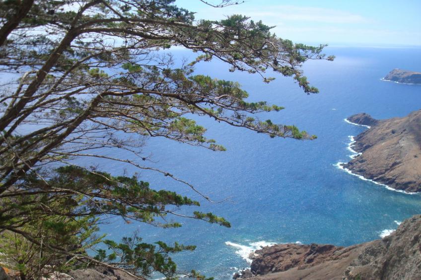 in Vila Baleira mit Garten - foto 14