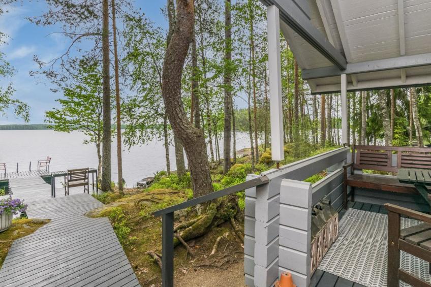 Tervapääsky - foto 6