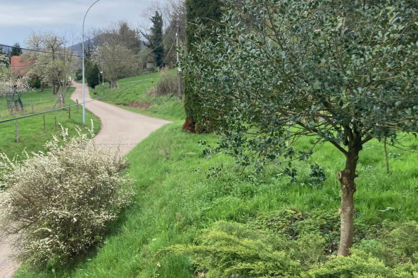 Gite des Cerisiers - foto 20