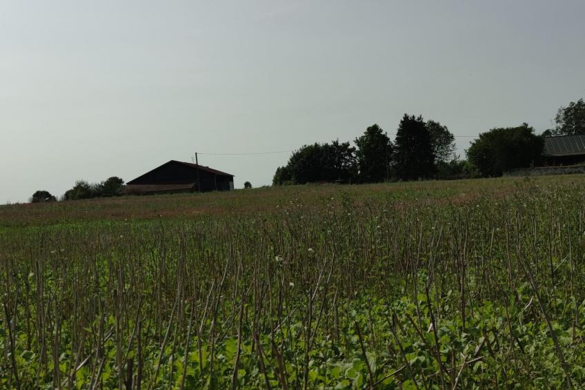 Gesellige Momente in der Nähe von Disneyland Paris - foto 17