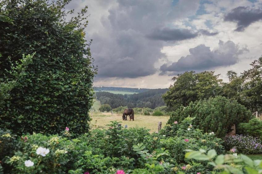 Appartement Eifelsteig - foto 25
