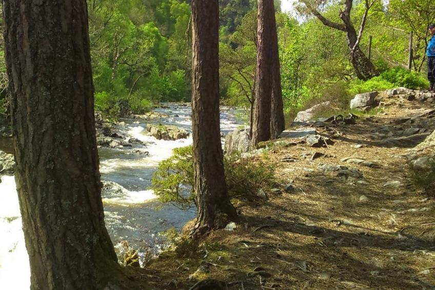 Schönes viktorianische Villa in Blairgowrie - foto 29