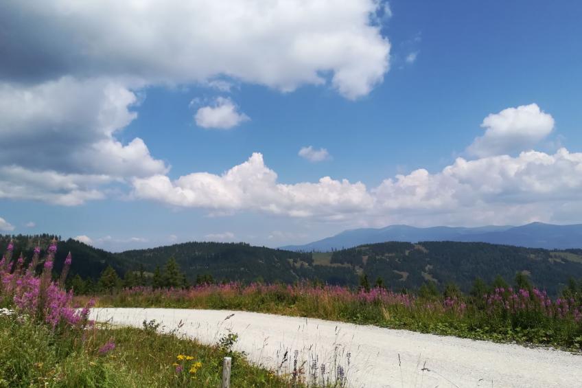 Gemütliche Bergehütte für acht Personen mit Outdoor-Badefass und Sauna - foto 21