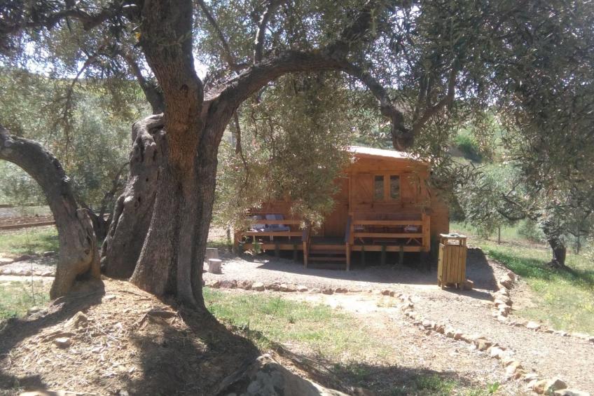 Gemütliches Ferienhaus in Almogía mit Garten - foto 13