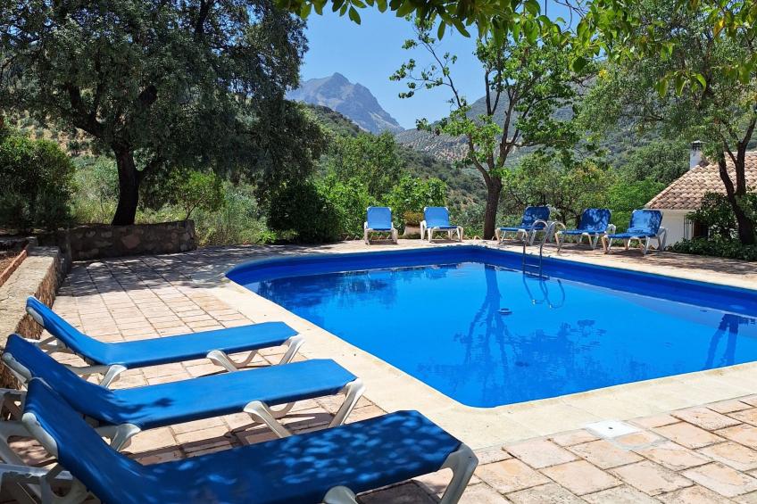 Cerro de la Cruz,charmantes Bauernhaus mit bester Aussicht,im Zentrum Andalusie - foto 5