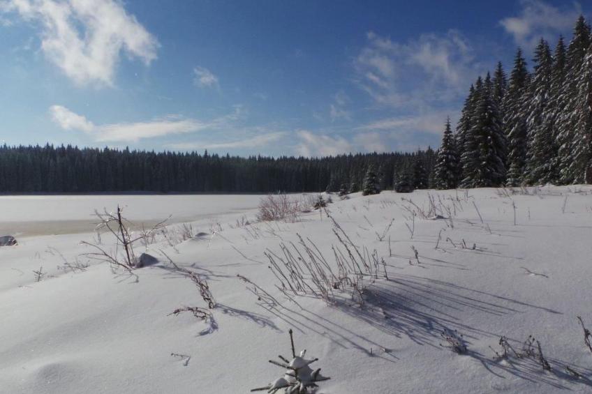 Fewo "Am Skihang OG" - foto 9