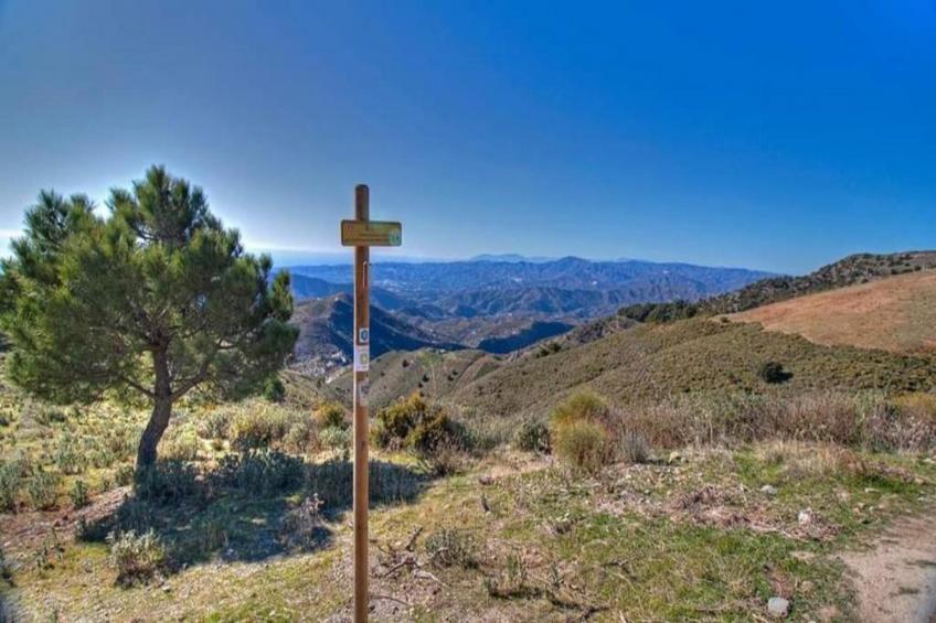 Cortijo las Monjas - foto 37