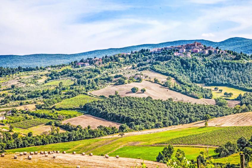 Agriturismo Belvedere delle Crete - foto 39