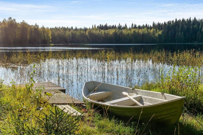 Vaikon loma ja lohi - foto 15