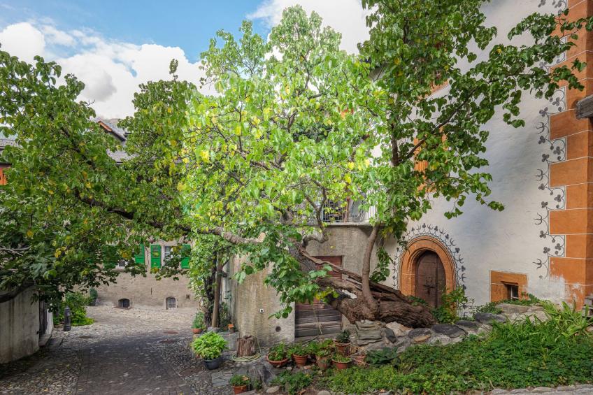 Cricerhaus in Visp - foto 8