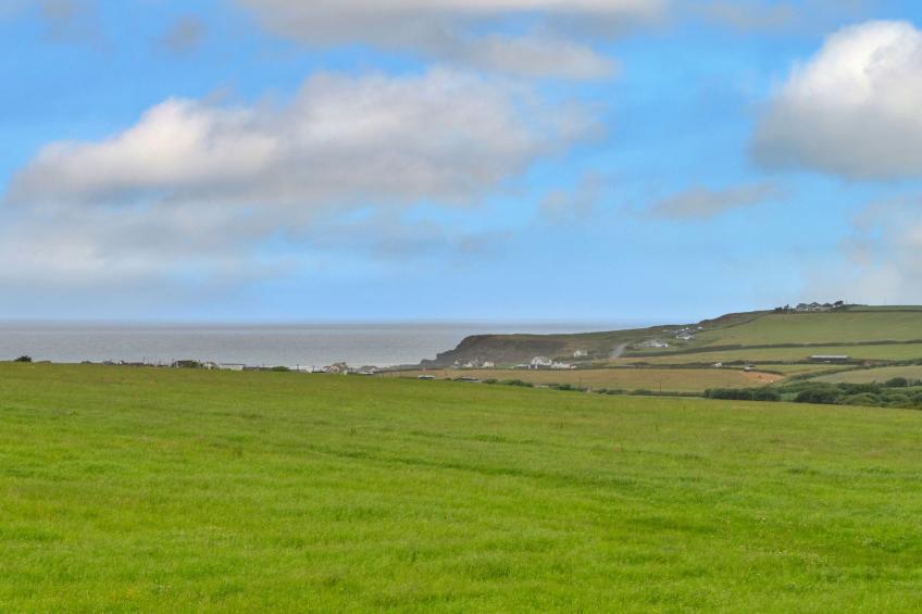 Squire, Quinceborough Farm - foto 15