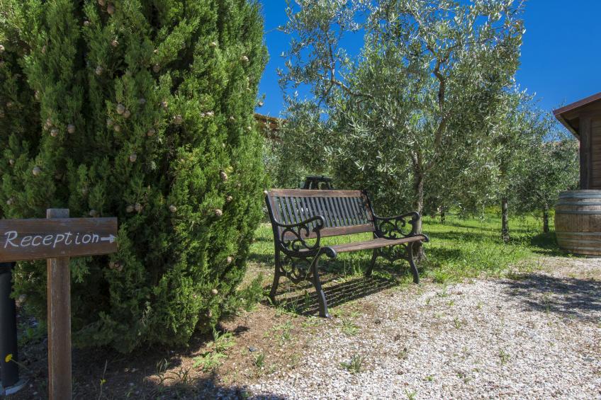 Podere Tre Termini (CEC172) - foto 31